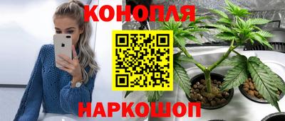 гашик Обь