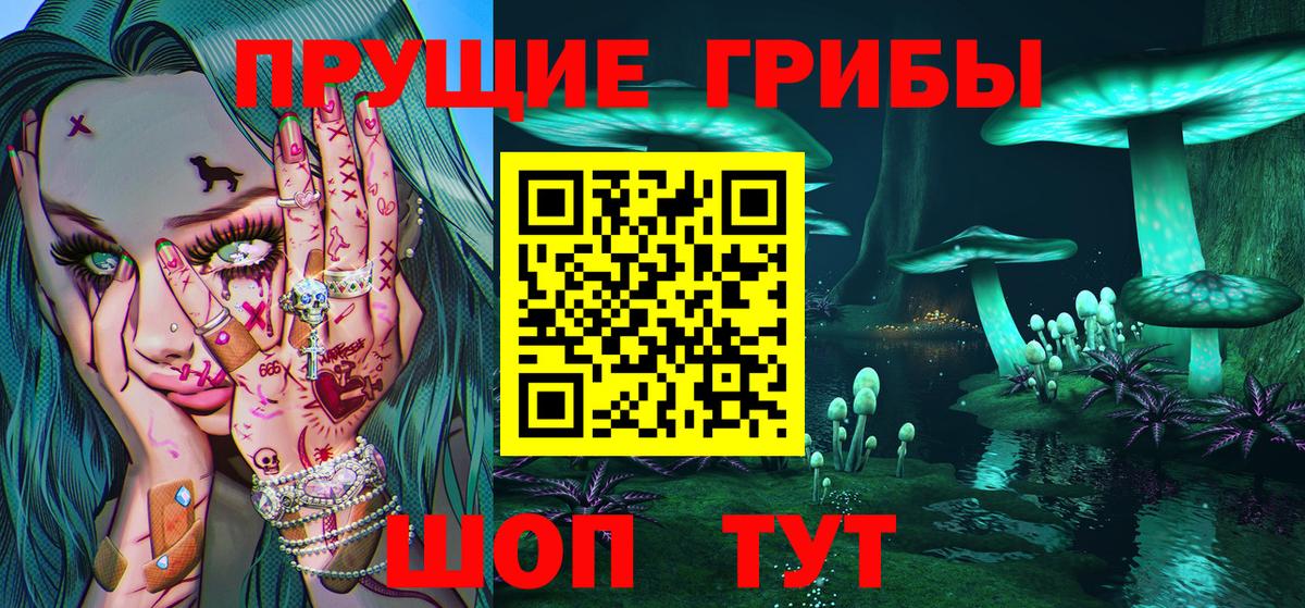 Галлюциногенные грибы GOLDEN TEACHER  Вход с VPN  Торжок 