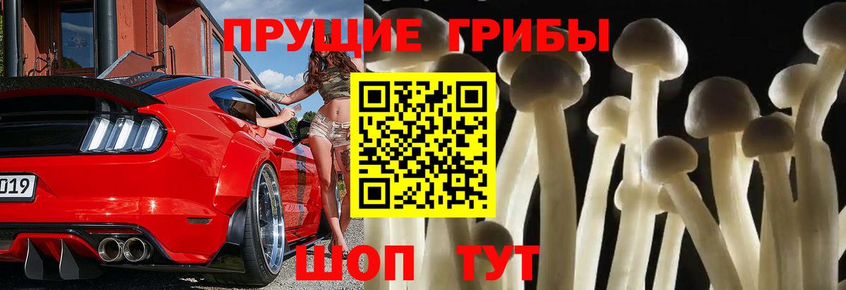Псилоцибиновые грибы ЛСД Торжок